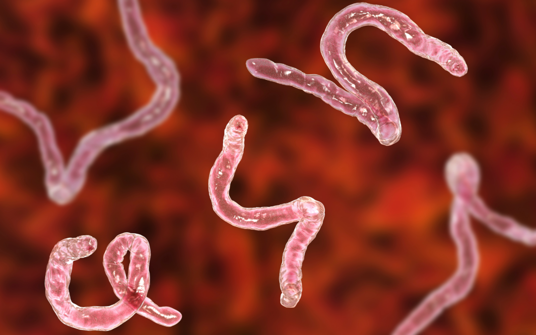 Are parasites to blame for chronic health issues?