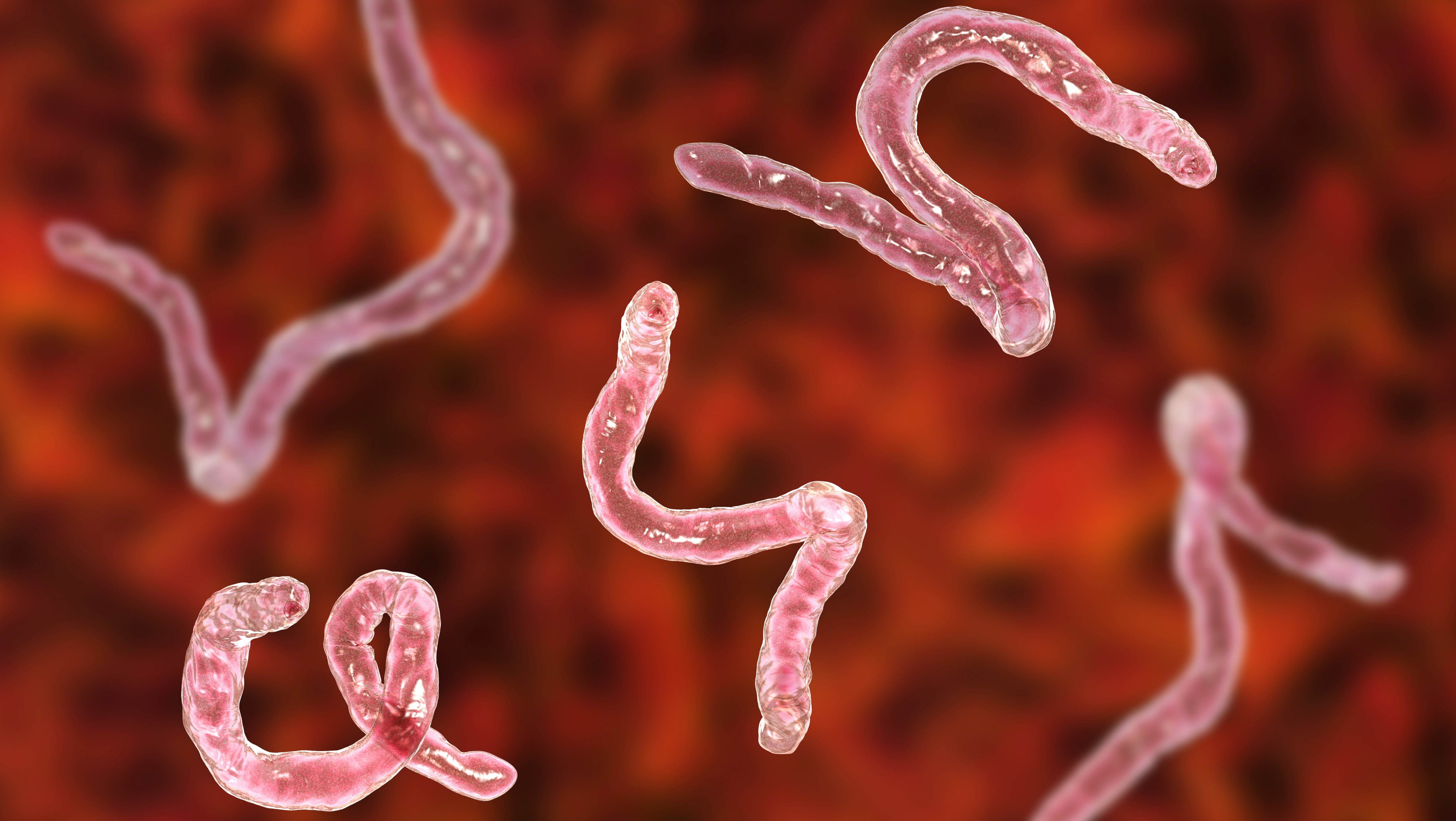 Are parasites to blame for chronic health issues?